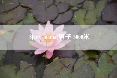 桐城男子 5000米
