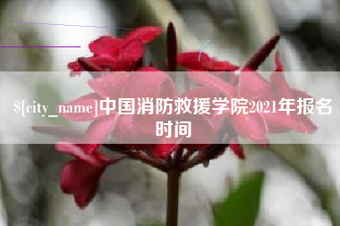 桐城中国消防救援学院2021年报名时间