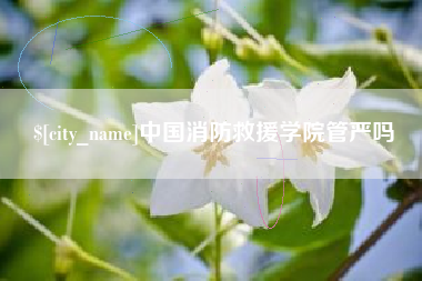 桐城中国消防救援学院管严吗