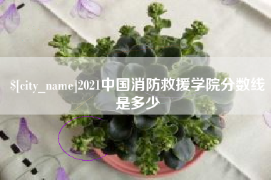 桐城2021中国消防救援学院分数线是多少