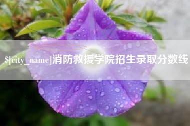 桐城消防救援学院招生录取分数线
