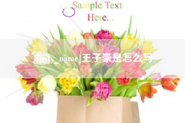 桐城王子豪是怎么写