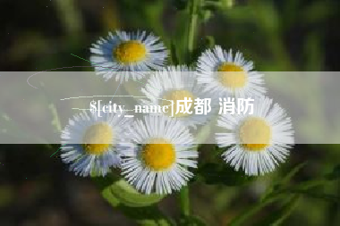 桐城成都 消防
