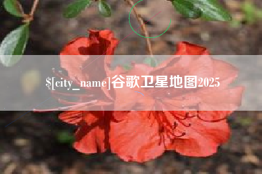 桐城谷歌卫星地图2025