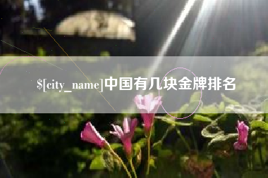 桐城中国有几块金牌排名