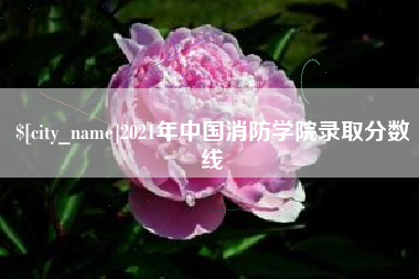 桐城2021年中国消防学院录取分数线