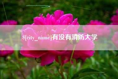 桐城有没有消防大学