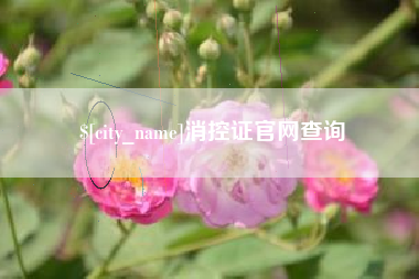 桐城消控证官网查询