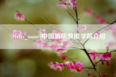 桐城中国消防救援学院介绍