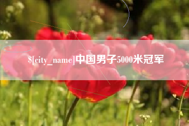 桐城中国男子5000米冠军