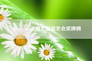 桐城第七届亚冬会奖牌榜