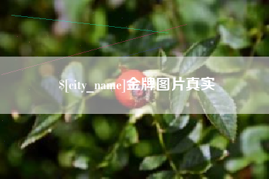 桐城金牌图片真实