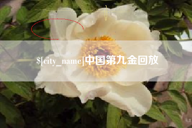 桐城中国第九金回放