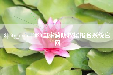 桐城2020国家消防救援报名系统官网
