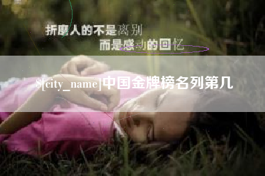 桐城中国金牌榜名列第几