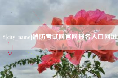 桐城消防考试网官网报名入口网址