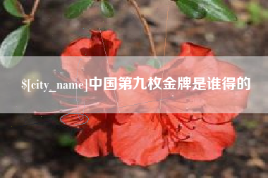 桐城中国第九枚金牌是谁得的