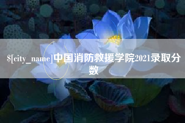 桐城中国消防救援学院2021录取分数