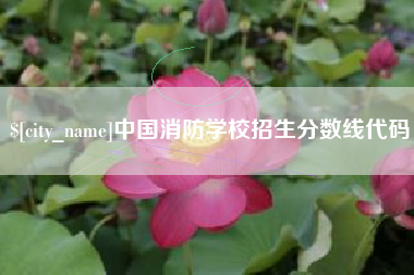 桐城中国消防学校招生分数线代码