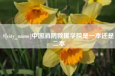 桐城中国消防救援学院是一本还是二本