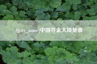 桐城中国夺金大项是谁