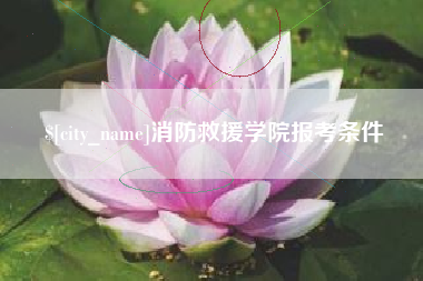 桐城消防救援学院报考条件