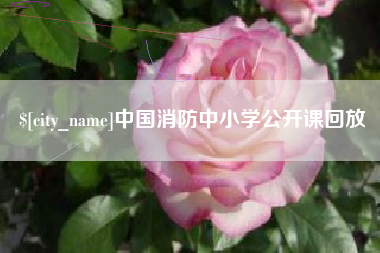 桐城中国消防中小学公开课回放