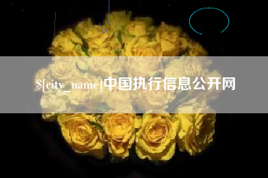桐城中国执行信息公开网