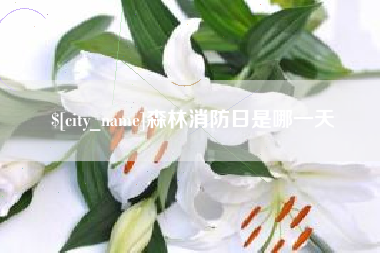 桐城森林消防日是哪一天