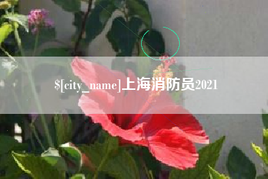 桐城上海消防员2021