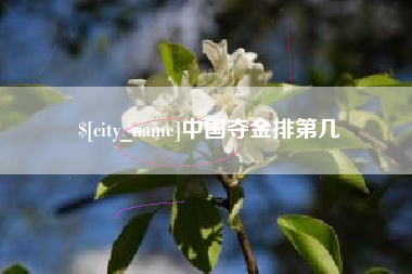 桐城中国夺金排第几