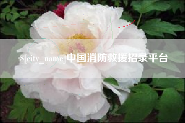 桐城中国消防救援招录平台