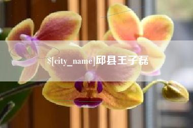 桐城邱县王子磊