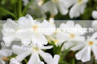 桐城中国消防救援学院男女比例