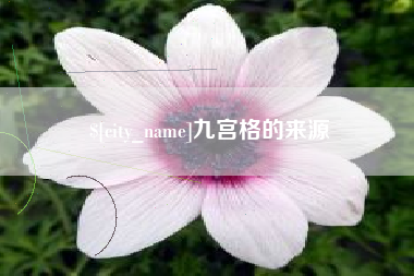 桐城九宫格的来源
