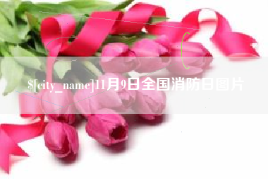 桐城11月9日全国消防日图片