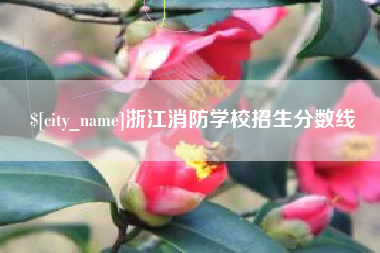 桐城浙江消防学校招生分数线