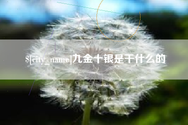 桐城九金十银是干什么的