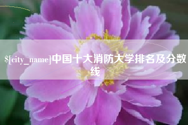 桐城中国十大消防大学排名及分数线