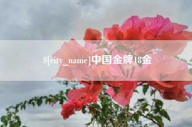 桐城中国金牌18金