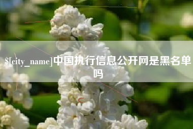 桐城中国执行信息公开网是黑名单吗