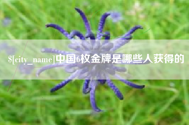 桐城中国6枚金牌是哪些人获得的