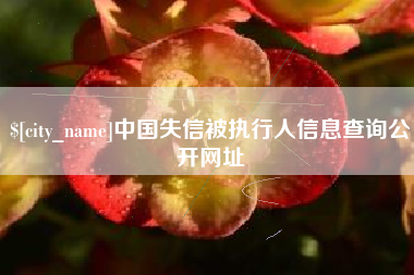 桐城中国失信被执行人信息查询公开网址