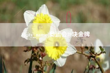 桐城奥运会39块金牌