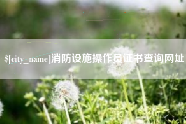 桐城消防设施操作员证书查询网址