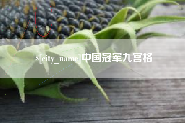 桐城中国冠军九宫格