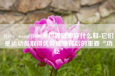 桐城5000米世界冠军穿什么鞋-它们是运动员取得优异成绩背后的重要“功臣”