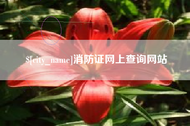 桐城消防证网上查询网站