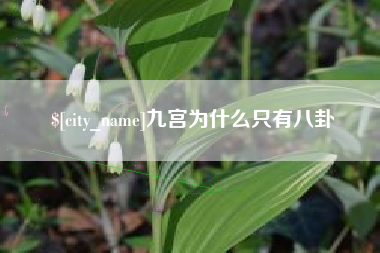 桐城九宫为什么只有八卦