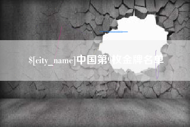 桐城中国第9枚金牌名单
